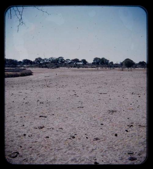 Landscape, view of a brush fence