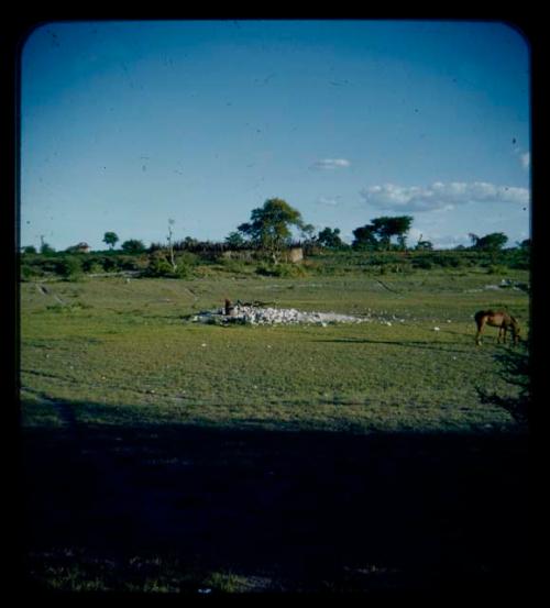 Landscape, horse grazing in the distance