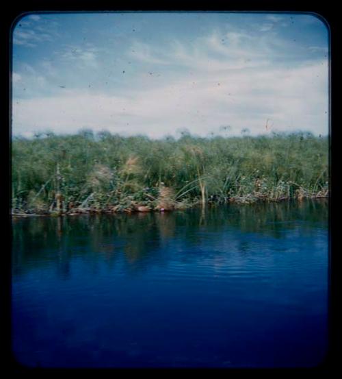 Landscape, riverbank