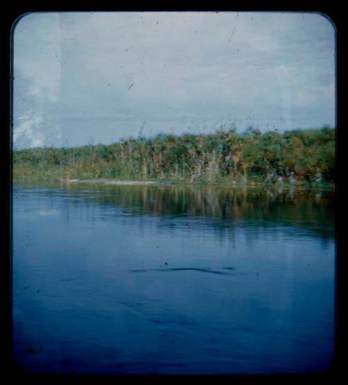 Kavango River