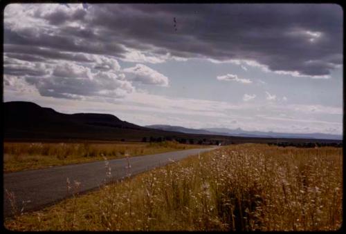 Landscape, grass and road