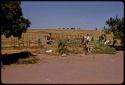 Man standing by a bull pen, Elizabeth Marshall Thomas and driver standing nearby