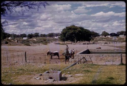 Donkey cart at reservoir