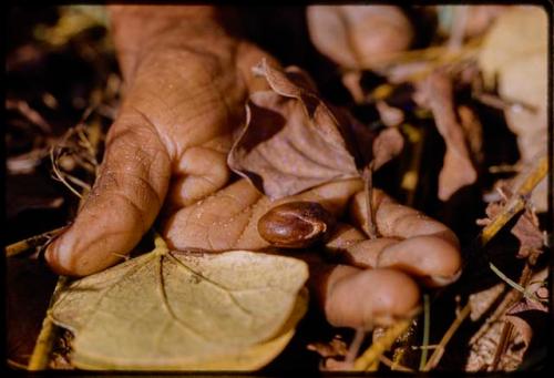 Person's hand holding tsi