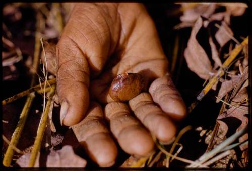 Person's hand holding tsi