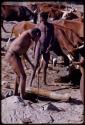 Men at a waterhole with cattle