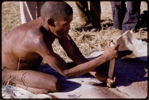 ǂGasa scraping a gemsbok hide