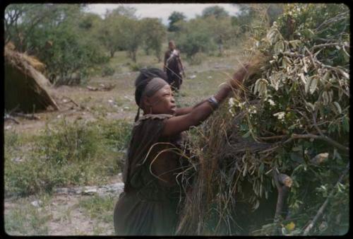 Women putting grass on skerm