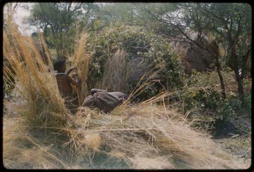 Woman putting grass on skerm