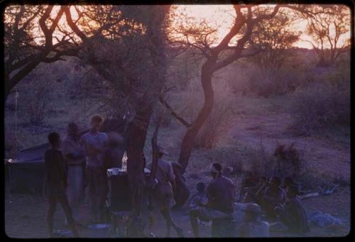 Group of people, including expedition members, gathered near a tree