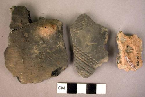 Ceramic rim & body sherds