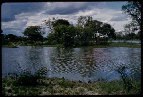 Pan filled with water