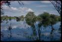 Pan filled after rain