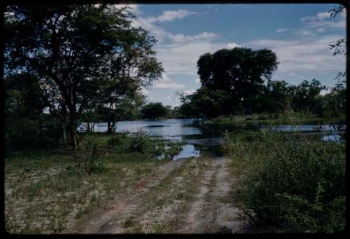 Pan filled after rain, with road in the foreground