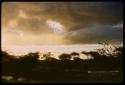 Evening sky, with trees and wet ground