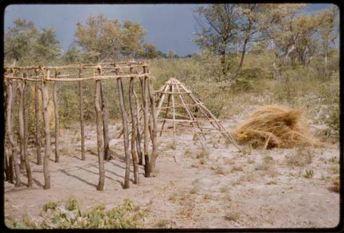 Modern style skerm under construction, showing poles in place and roof top to one side minus before thatching