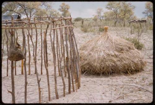 Modern style skerm under construction, showing poles in place and thatched roof assembled