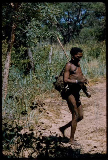 Bo walking with hunting equipment