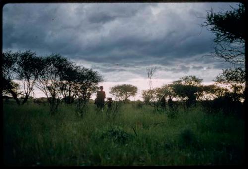 Group of people walking through green grass