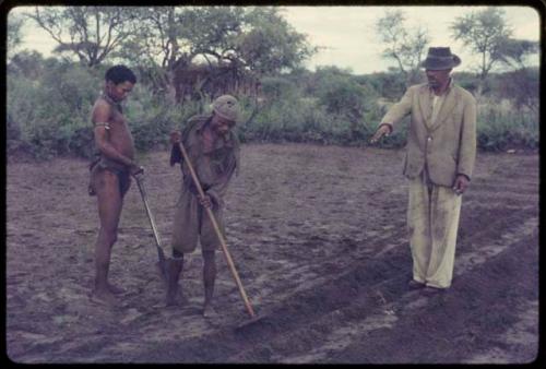 Wilhelm Camm directing two men to clear a garden