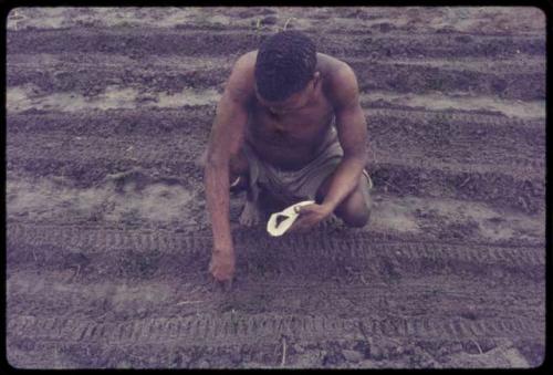 /Ti!kay squatting and seeding in a garden