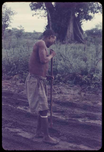 /Ti!kay tamping seeds with rake in a garden