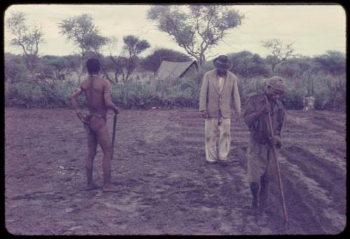 Wilhelm Camm standing with two men clearing a garden