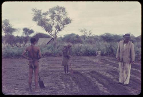 Wilhelm Camm standing with two men clearing a garden