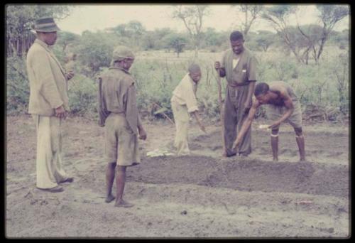 /Ti!kay seeding garden, with Wilhelm Camm and other men watching him