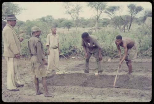 /Ti!kay plowing garden, with Wilhelm Camm and other men watching him