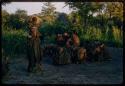 Group of people watching a curing dance, with huts and trees in the background