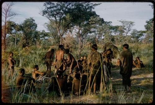 Group of people watching a curing dance, with huts and trees in the background