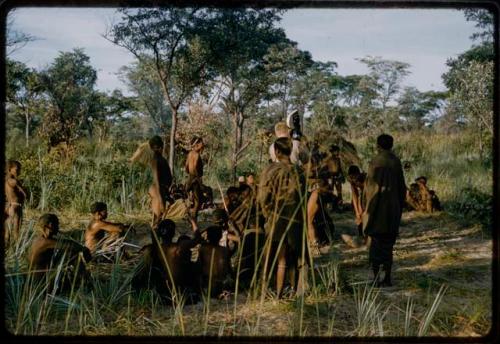 Group of people watching a curing dance, with John Marshall filming it