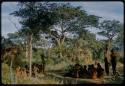 Group of people watching a curing dance