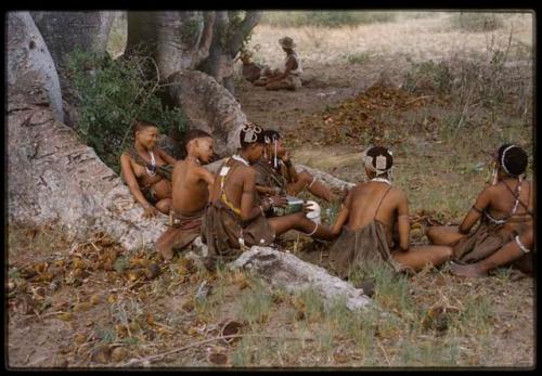 Group of people gathered at foot of baobab trees