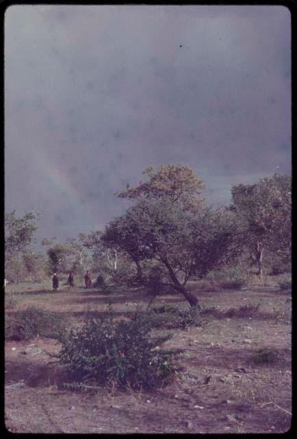 Group of people from a distance, with a rainbow in the sky