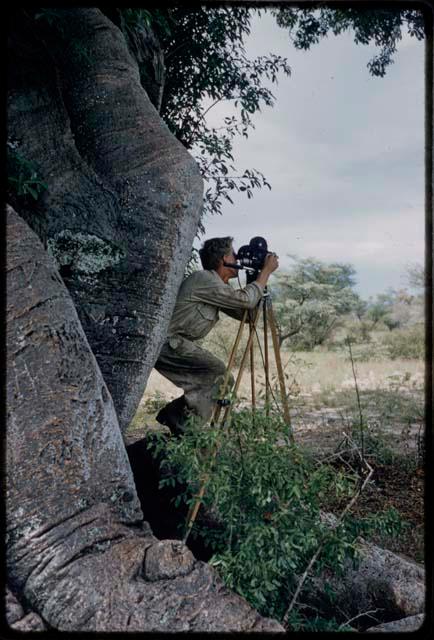 John Marshall filming, standing by baobab trees