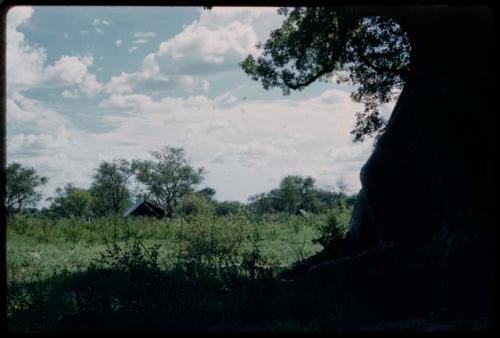 Distant view of a tent