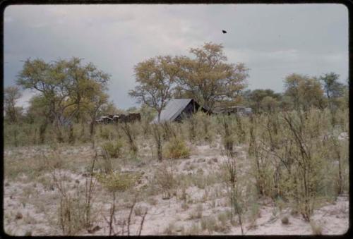 Tents and trucks from a distance