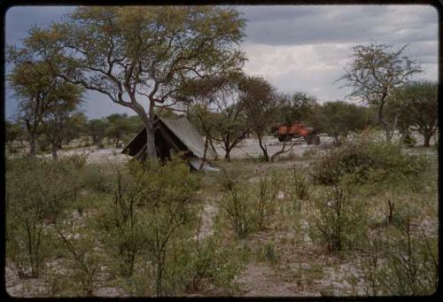 Tent under a tree, with a red truck in the background