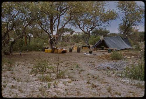 Campsite with tents