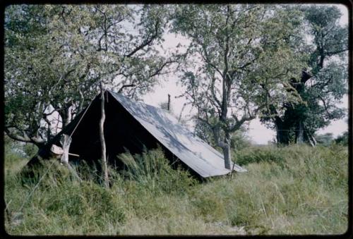 Tent in grass