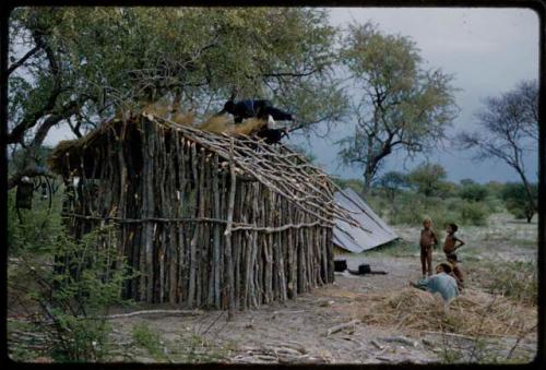 Man crawling on the roof of a cookhouse, with another man and two boys watching him