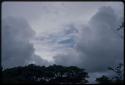 Trees with white clouds in the sky