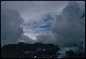 Trees with white clouds in the sky