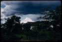 Cloudy sky and trees