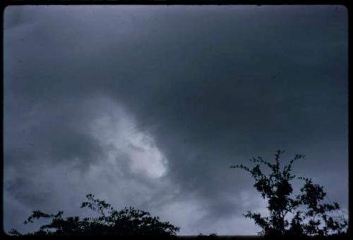 Clouds and treetops