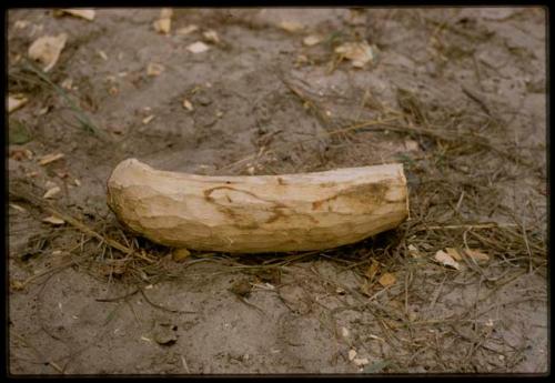 Side view of log hollowed out to be made into a //guashi