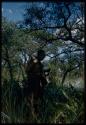 Woman standing under a tree to gather mangetti nuts