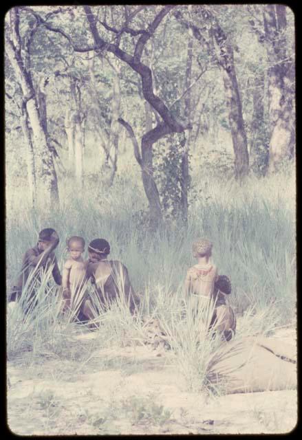 Group of people sitting, with a bag of mangetti nuts lying in the foreground